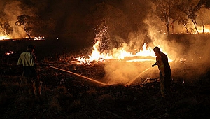Avustralya’daki yangınlar aylar sonra ilk kez kontrol altına alındı