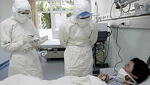 BAE'de korona virüsü vakası 7’ye yükseldi