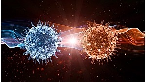 Coronavirüs internete sıçradı