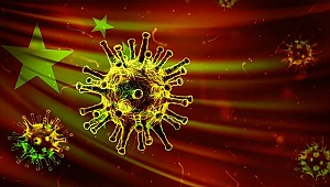 DSÖ düğmeye bastı! Virüsün merkezine ekip gönderiliyor