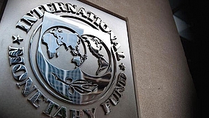 IMF'den koronavirüs açıklaması: İki hafta çok önemli