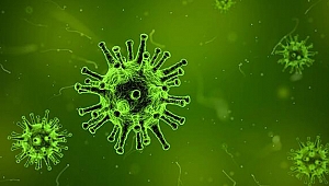 İran'da koronavirüs can aldı