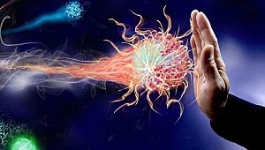 2 farklı koronavirüs var.