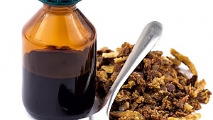Bağışıklık Sisteminin Destekçisi: Propolis