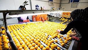 Koronavirüse karşı topyekün seferberlik; İhracatçılar güç birliğinde