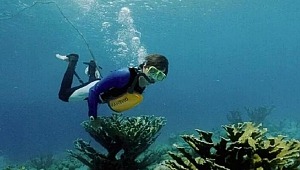 Koronavirüsten Korunmada Etkili ;Oksijen ve su,