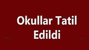 Okullar tatil edildi! Uzaktan eğitim nasıl olacak?
