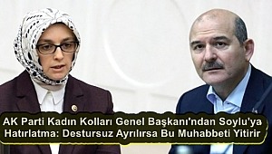AK Parti Kadın Kolları Genel Başkanı ne yapmaya çalışıyor