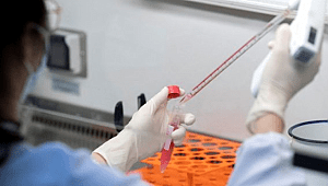 Coronavirüs'te Plazma tedavisi işe yarıyor!