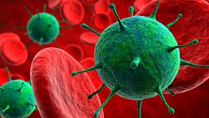 DSÖ: Kovid-19'un ölüm oranı gripten 10 kat fazla