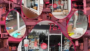 #hepbirlikte Minik Dostlarımızı Hatırlayalım! 