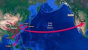 Komünist Çin Rejimi salgını sakladı, dünyaya yayılmasına sebep oldu...