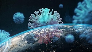 Koronavirüs, ekolojik dönüşüm için fırsat sunuyor