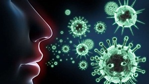 Koronavirüsün vücuda giriş kapısı bulundu