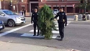 'Yok artık' dedirten yöntem! Yasağı hiçe saydılar