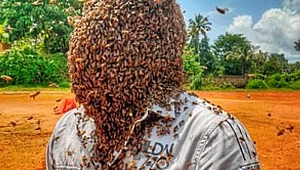 60 bin arıyı kafasında tuttu, rekorlar kitabına girdi!