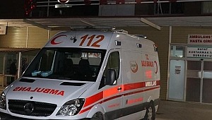 Erzincan'da kamyonet nehre düştü: 5 ölü 