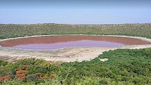Hindistan’da 50 bin yıllık Lonar Gölü pembeye döndü
