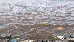 Küçükçekmece Gölü kahverengiye büründü