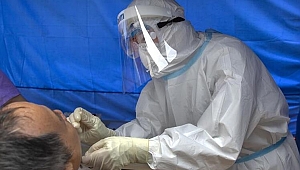 Son 24 saatte Çin'de 17, Güney Kore'de 40 yeni Covid-19 vakası görüldü