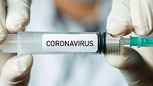 30 Kasım'a kadar sonuç alınması bekleniyor! Aşı denemeleri başladı