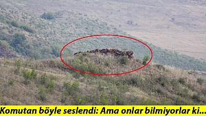 Azerbaycan Ordusu'nun sınır hattındaki mevzileri görüntülendi