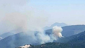 Burdur'da orman yangını