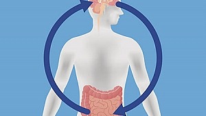 ​“Bütün Hastalıklar Bağırsakta Başlar” 