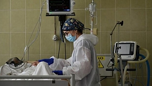 Dünya genelinde corona virüste vaka sayısı 11,5 milyonu geçti