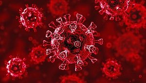 Kritik koronavirüs raporu: Vaka sayısında Kosova ilk sırada