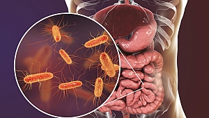 Sağlıklı bağırsak ile tüm hastalıklardan korunun