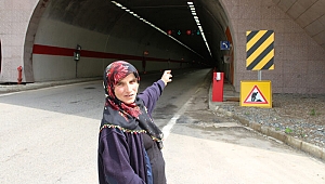 Tünelde otomobilin çarptığı ineğin sahibine 1800 TL ceza