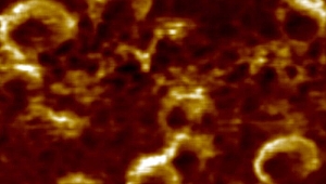 Türk bilim insanları başardı! Koronavirüs üç boyutlu görüntülendi