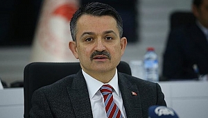 Bakan Pakdemirli'den mangal açıklaması