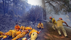 Bakan Pakdemirli paylaştı: Dün gece rahat uyudunuz mu?