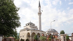 Bosna Hersek'teki bir cami avlusuna domuz leşi bırakıldı