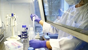 Dünya Sağlık Örgütü’nden corona virüsü aşısı için yeni formül