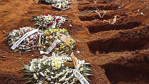  Dünyada koronadan ölenlerin sayısı 800 bini aştı