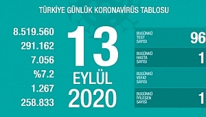 13 Eylül koronavirüs tablosu! Vaka, ölü sayısı