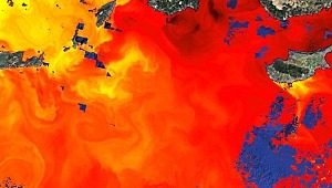 Abdurrahman Dilipak : Restini gördüm!