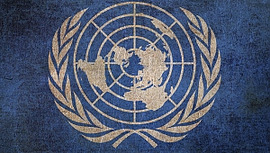 BM'den Azerbaycan ve Ermenistan'a çağrı