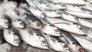 Covid-19’un çıktığı ülkeden corona uyarısı: Dondurulmuş gıda almayın