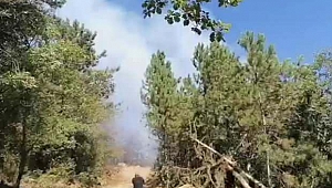 Karabük’te orman yangını