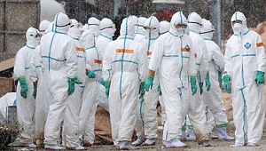 Kazakistan'da kuş gribi nedeniyle 11 yerleşim yeri karantinaya alındı