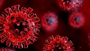 Kovid-19'un enfekte ettiği solunum yolu hücrelerinin görüntüleri tıp dergisinde yayımlandı