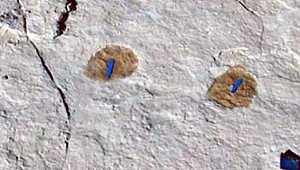 Suudi Arabistan’da 120 bin yıllık ayak izleri bulundu