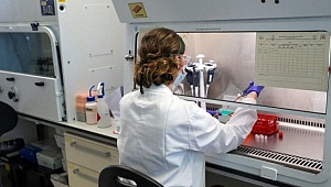 Türk bilim insanından dünyayı heyecanlandıran corona virüsü aşısı açıklaması