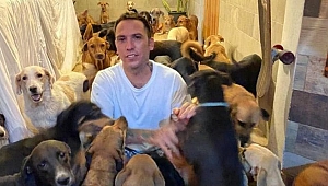 300 köpeği evine aldı!