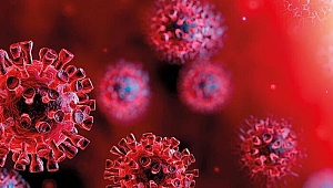 ABD’li uzmanlardan korkutan ‘çifte pandemi’ uyarısı