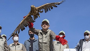 Bakan Pakdemirli rehabilite edilen yaban hayvanlarını doğaya bıraktı